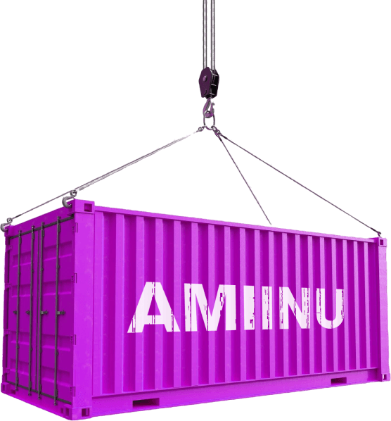 Aminu Logo